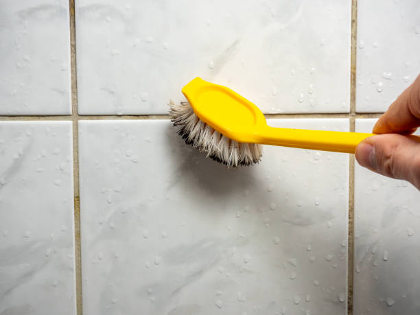 Certified Mold Removal in Lyman, MS