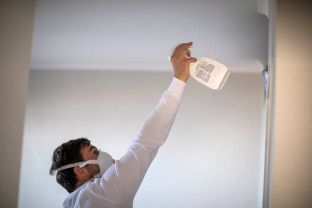 Best Toxic Mold Removal  in Lyman, MS