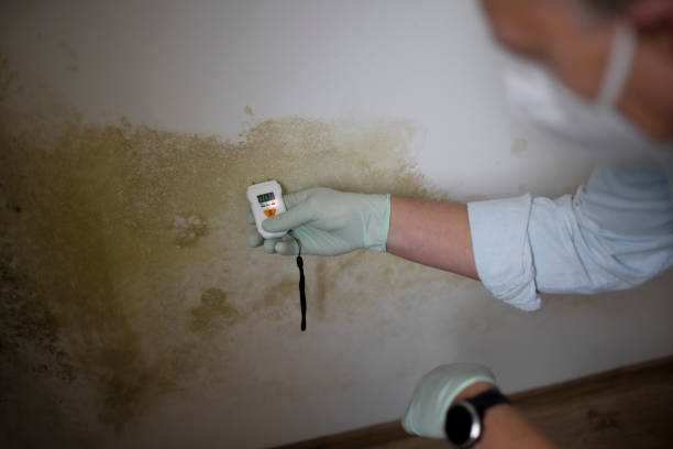 Best Mold Testing  in Lyman, MS